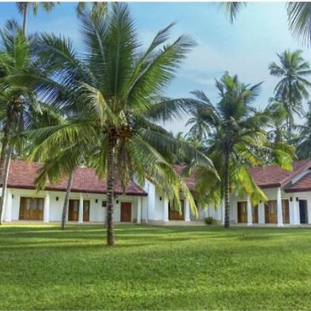 Coco Villa Peach Tree Katunayake Exterior photo